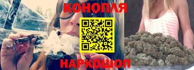 гашик Шебекино