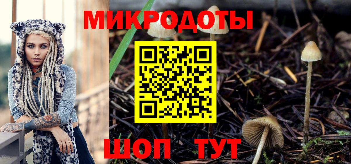 Псилоцибиновые грибы GOLDEN TEACHER  Псилоцибиновые грибы мухоморы  Рославль  Вход с VPN 